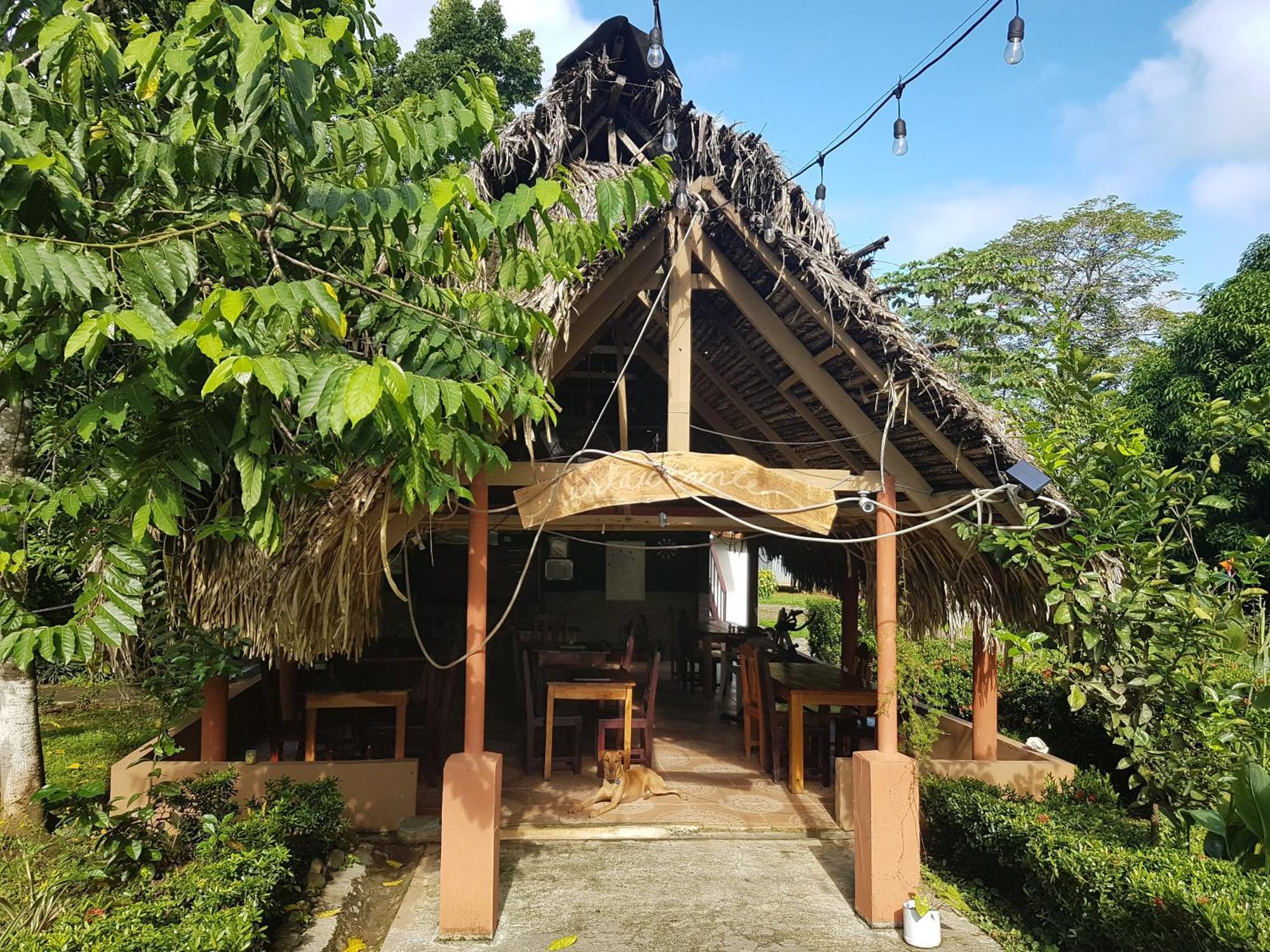 Los Pinos De Torio Exterior foto